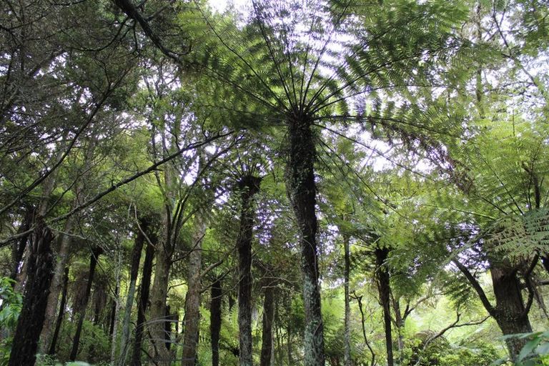 Photo of property in 16 North Ridge Rise, Maunu, Whangarei, 0179