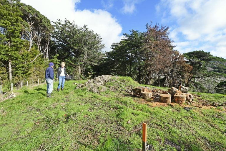 Photo of property in 99 Birdsall Road, Whangateau, 0985