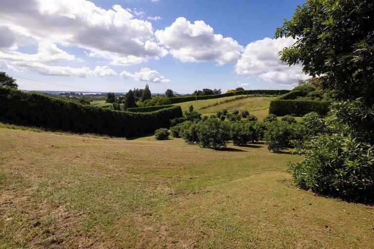 Photo of property in 313 Youngson Road, Whakamarama, Tauranga, 3179
