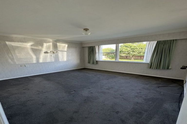 Photo of property in 20 Burn Street, Levin, 5510