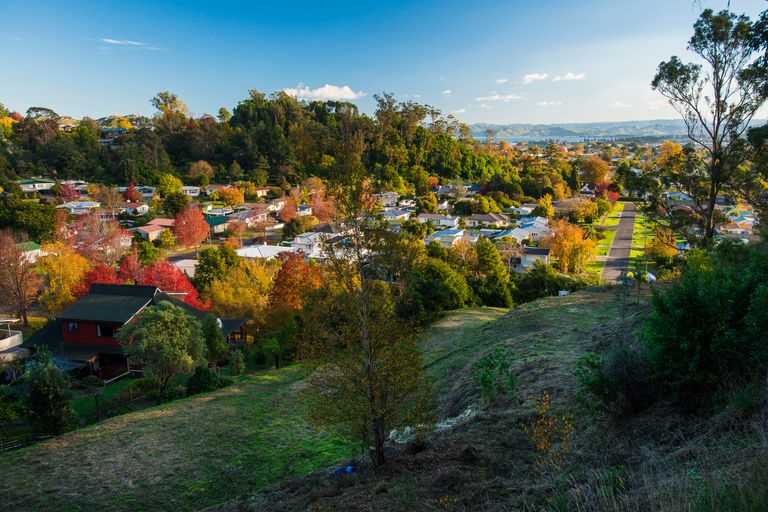 Photo of property in 71 Seddon Crescent, Whataupoko, Gisborne, 4010