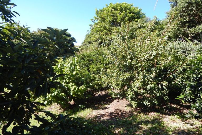Photo of property in 36 Rarere Terrace, Kerikeri, 0230