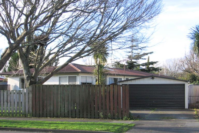 Photo of property in 365 Ruahine Street, Terrace End, Palmerston North, 4410
