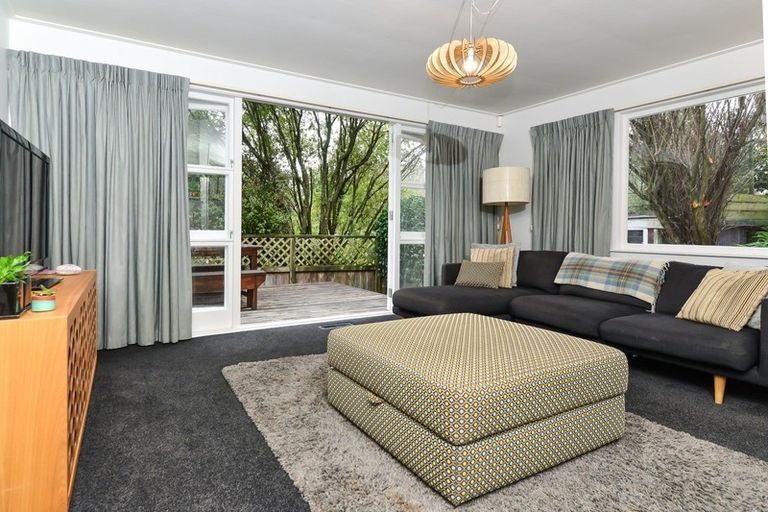 Photo of property in 65 Casey Avenue, Fairfield, Hamilton, 3214