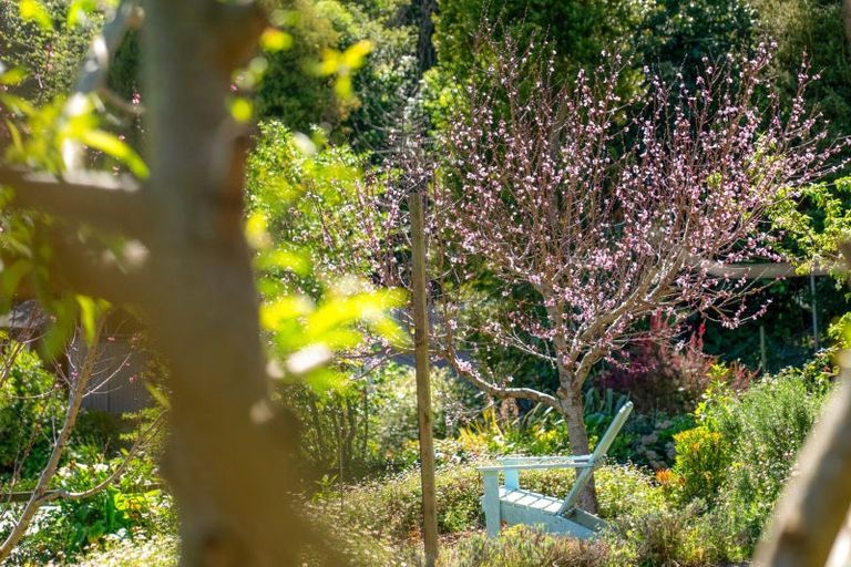 Photo of property in 223 Waitaha Road, Welcome Bay, Tauranga, 3112