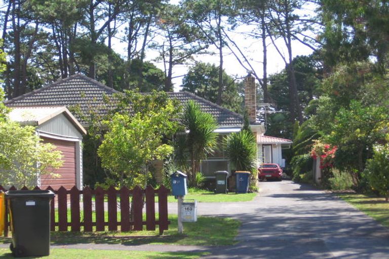 Photo of property in 163 Portage Road, New Lynn, Auckland, 0600