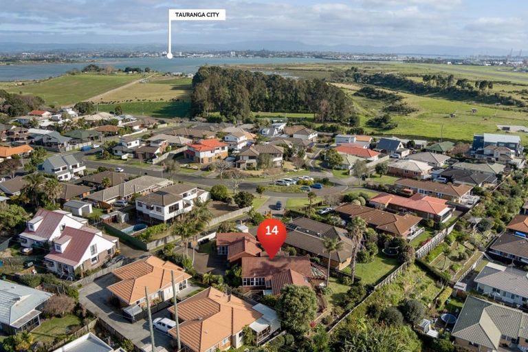 Photo of property in 14 Claridge Place, Mount Maunganui, 3116