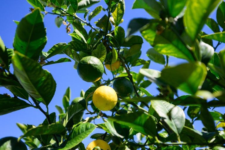 Photo of property in 3 Harding Place, Feilding, 4702