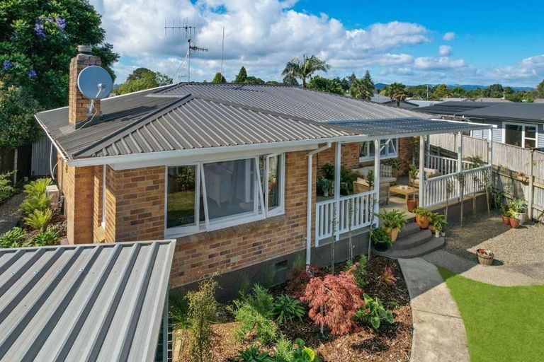 Photo of property in 43 Henderson Street, Whakatane, 3120