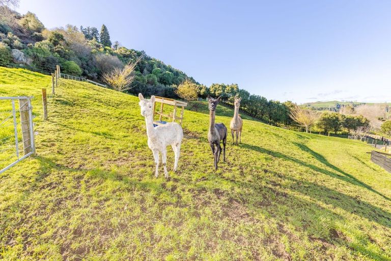 Photo of property in 1683b Tirau Road, Karapiro, Tirau, 3484
