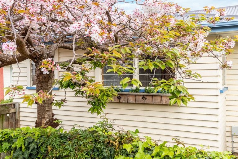 Photo of property in 9a Frederick Street, Paraparaumu Beach, Paraparaumu, 5032