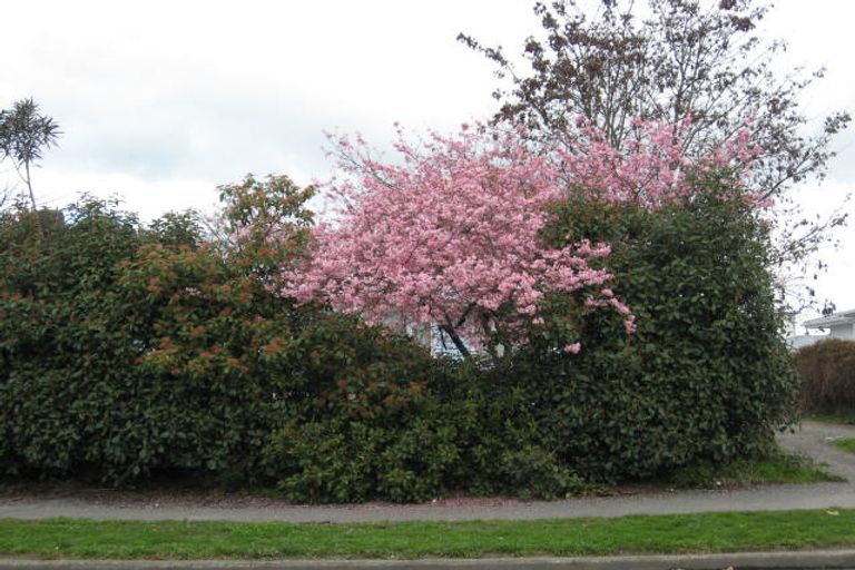 Photo of property in 110 Church Street, Masterton, 5810