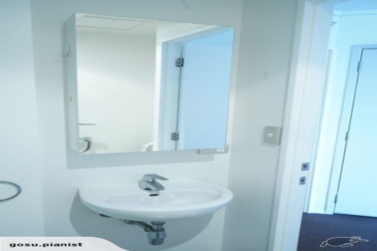 Photo of property in 53 Cook Street, Hamilton East, Hamilton, 3216