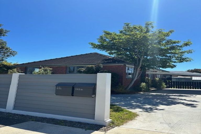 Photo of property in 115 Limbrick Street, Terrace End, Palmerston North, 4410