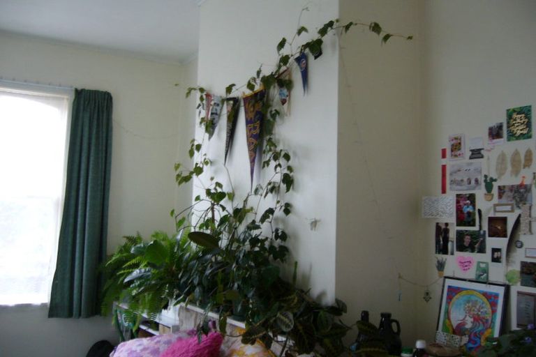 Photo of property in 78 Tasman Street, Mount Cook, Wellington, 6021