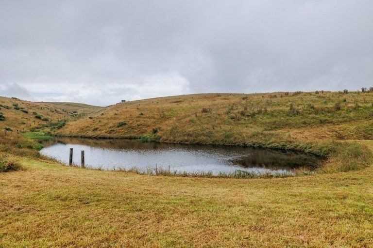 Photo of property in 836 Pungaere Road, Waipapa, Kerikeri, 0295