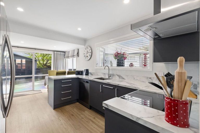 Photo of property in 19 Battersea Place, Roslyn, Palmerston North, 4414