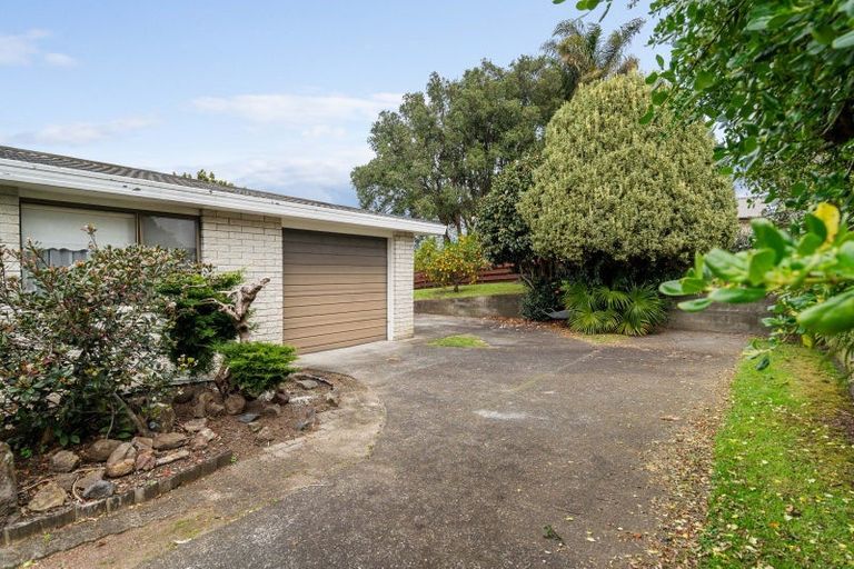 Photo of property in 6 Chester Street, Judea, Tauranga, 3110