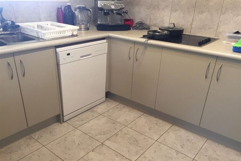 Photo of property in 22 Merlot Drive, Pyes Pa, Tauranga, 3112