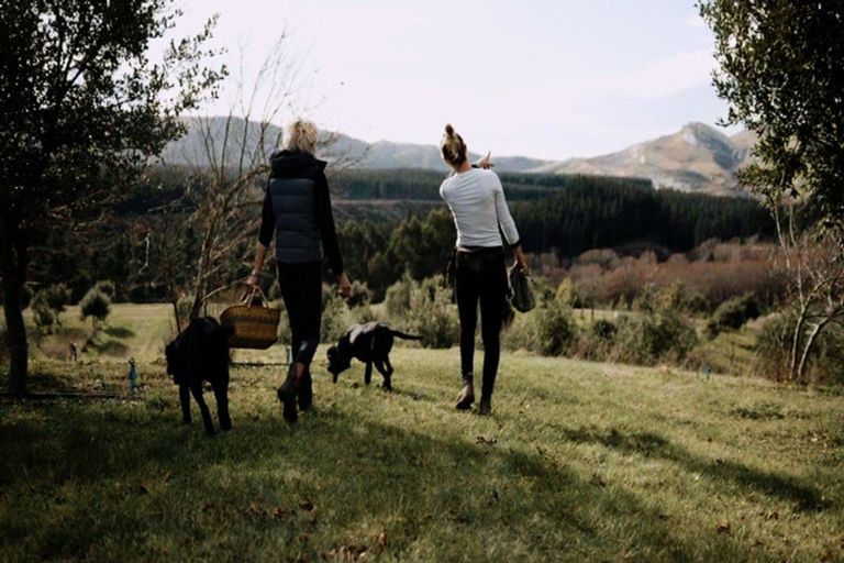 Photo of property in 101 Laidmore Road, Broomfield, 7482