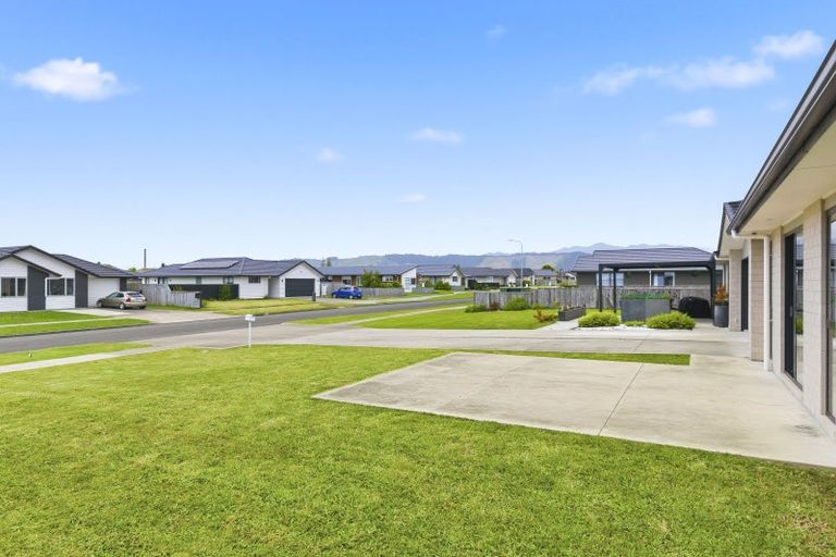 Photo of property in 97 Hinemoa Street, Levin, 5510