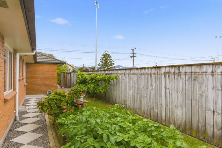 Photo of property in 63 Weraroa Road, Levin, 5510