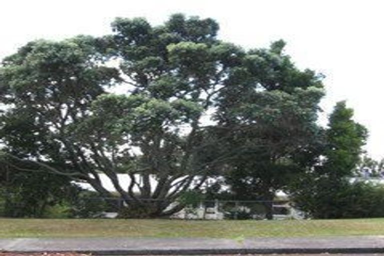 Photo of property in 17 Holt Avenue, Torbay, Auckland, 0630