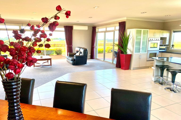 Photo of property in 81 Tiki Road, Kihikihi, Te Awamutu, 3872