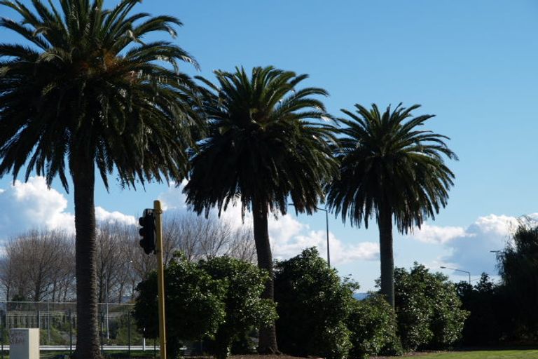 Photo of property in 477 Massey Road, Mangere East, Auckland, 2024