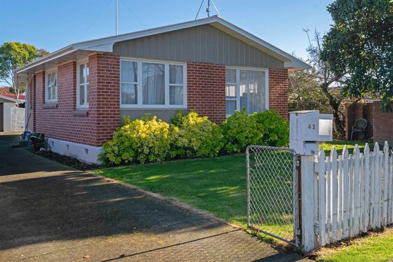 Photo of property in 43 Mowat Street, Springlands, Blenheim, 7201