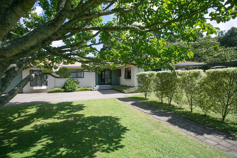 Photo of property in 8 Mclarnon Road, Cambridge, 3495