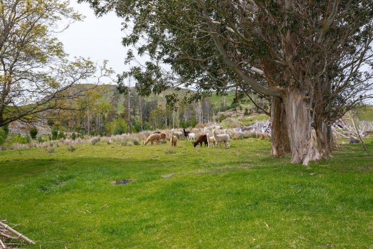 Photo of property in 10437 Route 52, Pongaroa, 4992