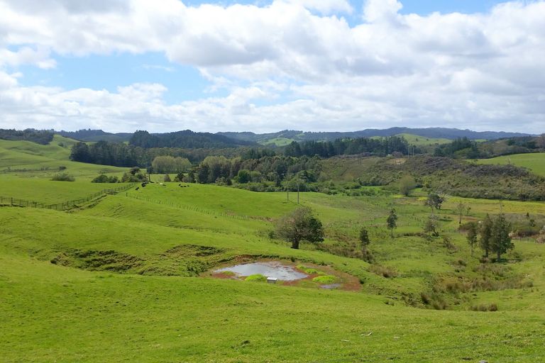 Photo of property in 41 Fairburn Road, Kaitaia, 0482