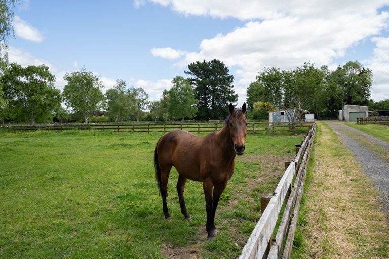 Photo of property in 67 Peake Road, Cambridge, 3493