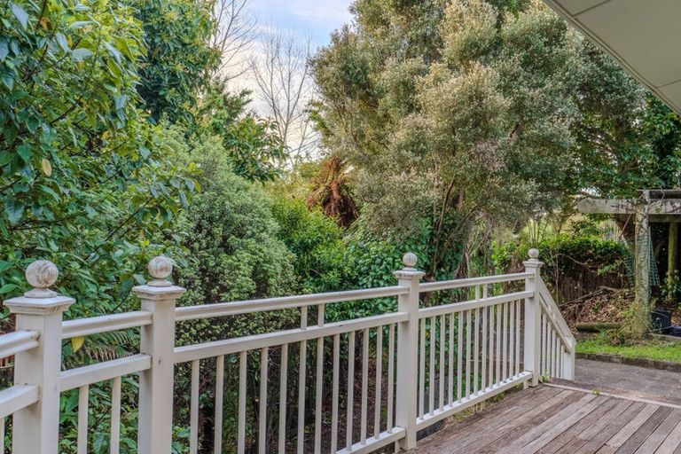 Photo of property in 17 Macfarlane Street, Hamilton East, Hamilton, 3216