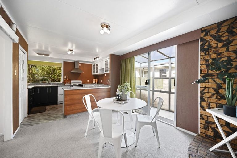 Photo of property in 17 Lancaster Street, Dinsdale, Hamilton, 3204