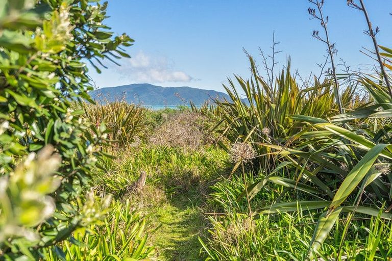 Photo of property in 59 Tutere Street, Waikanae Beach, Waikanae, 5036