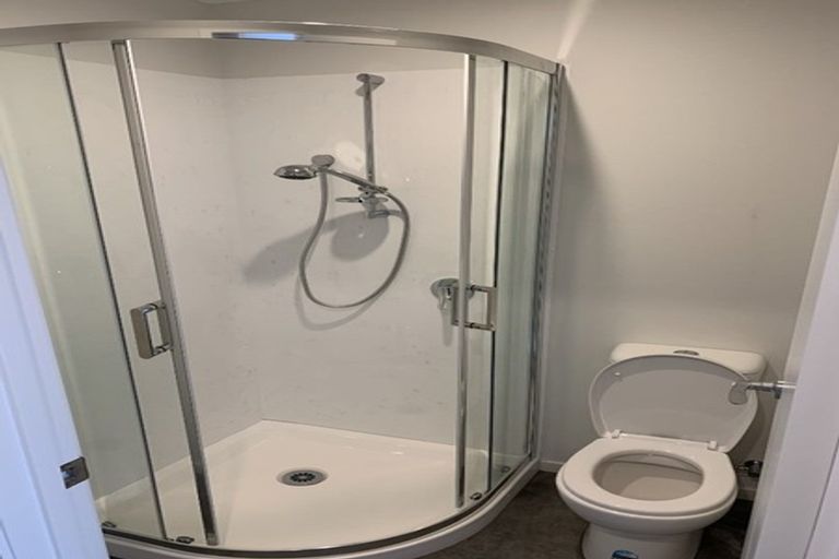 Photo of property in 11u4 Edgecumbe Street, Whitiora, Hamilton, 3200