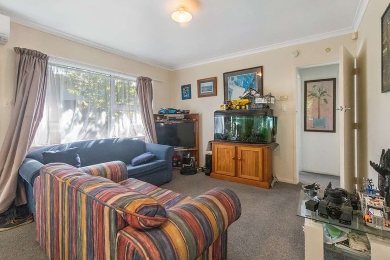 Photo of property in 1 Coopers Road, Gate Pa, Tauranga, 3112