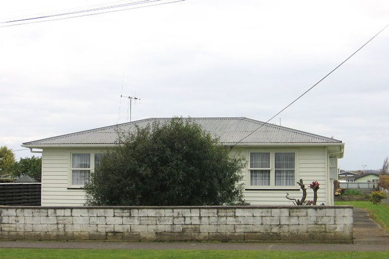 Photo of property in 10 Grenville Street, Levin, 5510