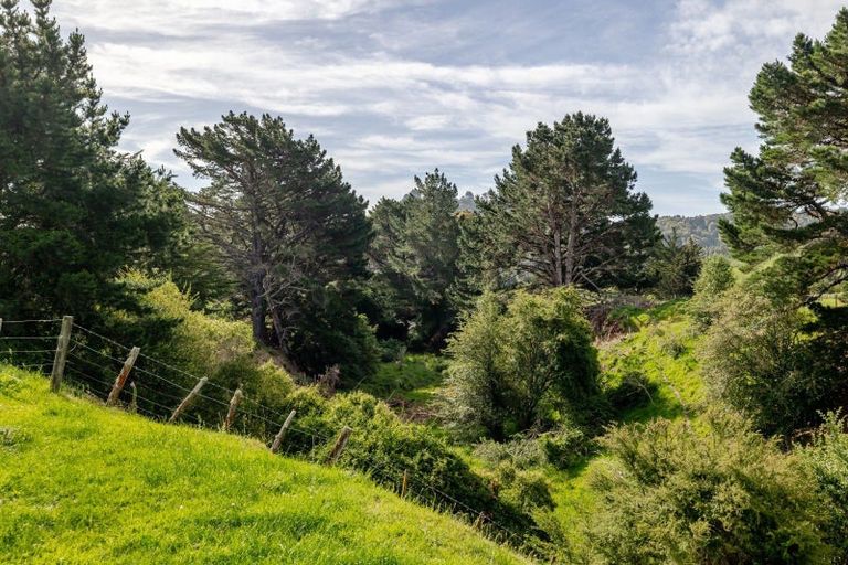 Photo of property in 423 Castle Hill Road, Alfredton, Eketahuna, 4996
