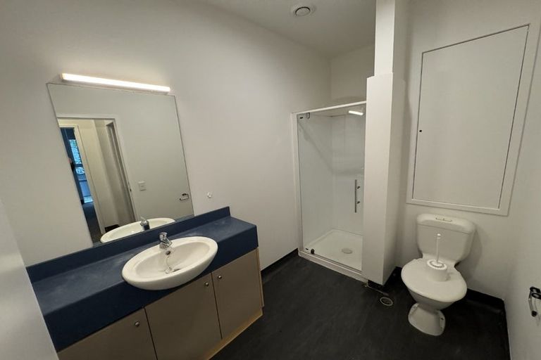 Photo of property in Hanson House, 1b/27 Hanson Street, Mount Cook, Wellington, 6021