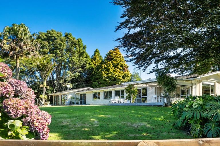 Photo of property in 424a Hot Springs Road, Tahawai, Katikati, 3178