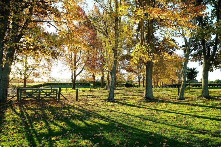Photo of property in 64 Peacockes Lane, Peacocke, Hamilton, 3282