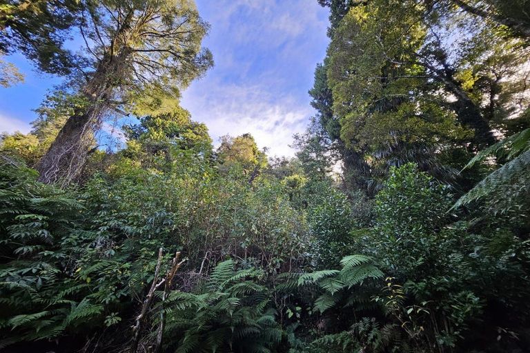 Photo of property in 233 Taramakau Highway, Kumara Junction, Kumara, 7875