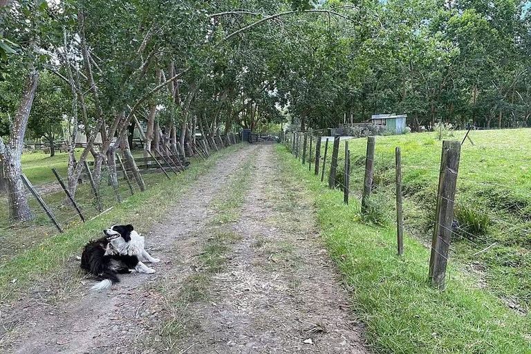 Photo of property in 654 Inland Road, Helensville, 0875