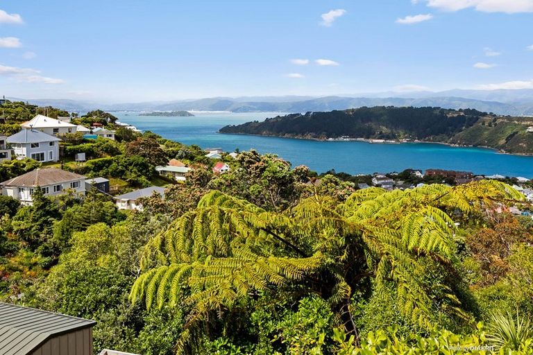 Photo of property in 24 Upoko Road, Hataitai, Wellington, 6021