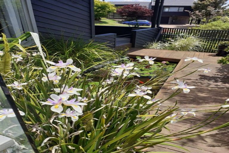 Photo of property in 41 Melville Drive, Whakatane, 3120