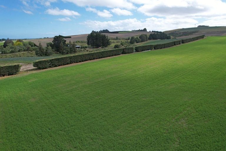 Photo of property in 253 Whiterocks Road, Weston, Oamaru, 9492