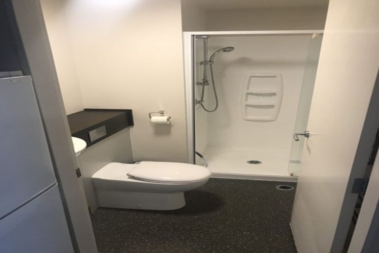 Photo of property in The Peak Apartments, 503/170 Taranaki Street, Te Aro, Wellington, 6011